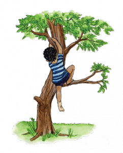 Illustration of a boy climing a tree