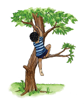 Ребенок карабкается. Лазить по деревьям. Карабкаться на дерево. Мальчик на дереве. Can you climb a tree