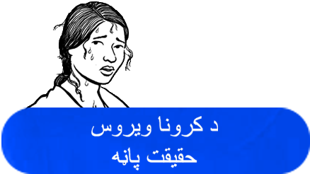 comprehensive pashto grammar book