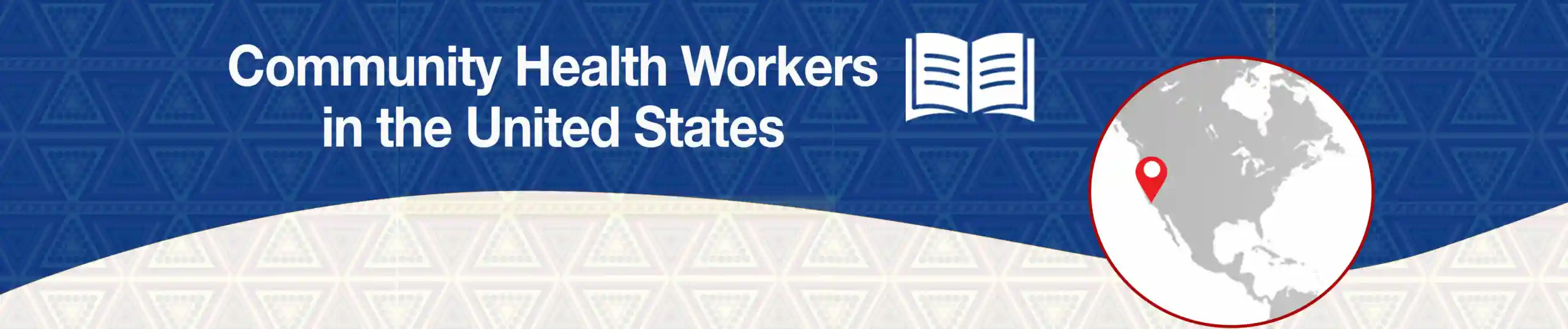 Community Health Workers in the United States