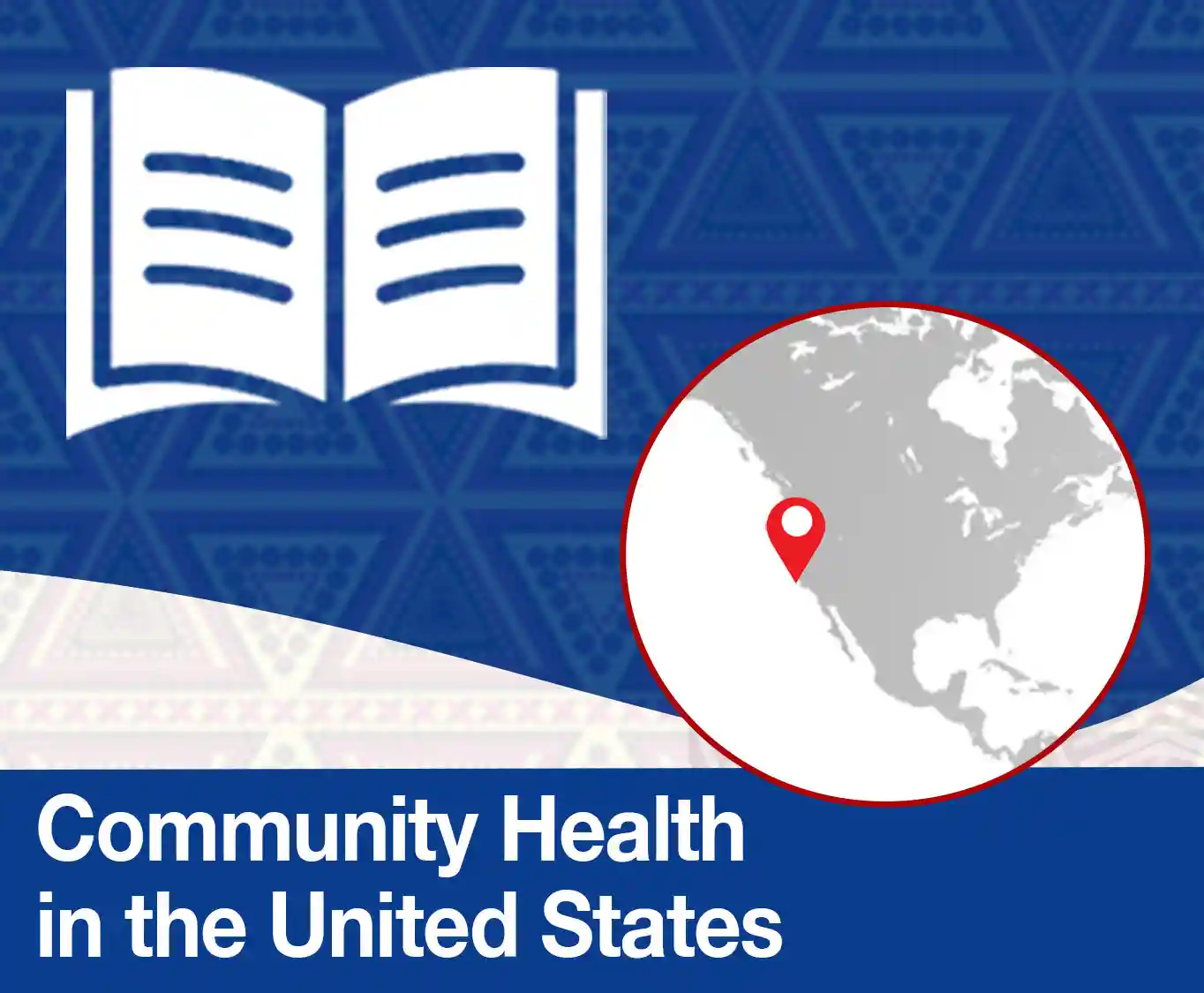 Community Health Workers in the United States