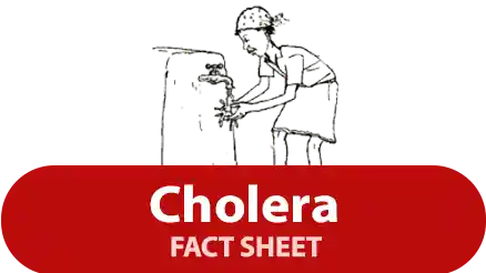 Cholera fact sheet
