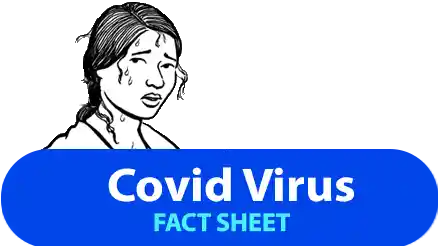 Covid virus fact sheet
