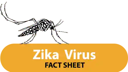Zika virus fact sheet